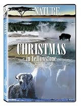 Stream Christmas in Yellowstone Online.