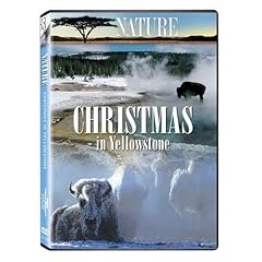 Christmas in Yellowstone