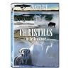 Christmas in Yellowstone