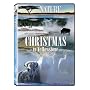Christmas in Yellowstone