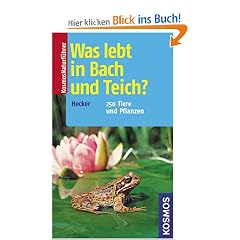 Was lebt in Bach und Teich?: 250 Tiere und Pflanzen