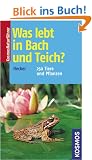 Was lebt in Bach und Teich?: 250 Tiere und Pflanzen