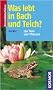 Was lebt in Bach und Teich?: 250 Tiere und Pflanzen