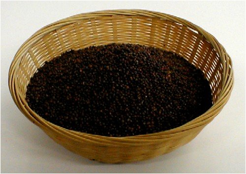 Organic Sprouting Seeds Red Cabbage 16 Ounces by The Sprout House