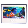 Searching for Nemo Lithograph