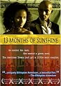 13 Months of Sunshine