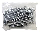 ロイヤル Bタッピング BT-P クローム 25㎜ (50本)