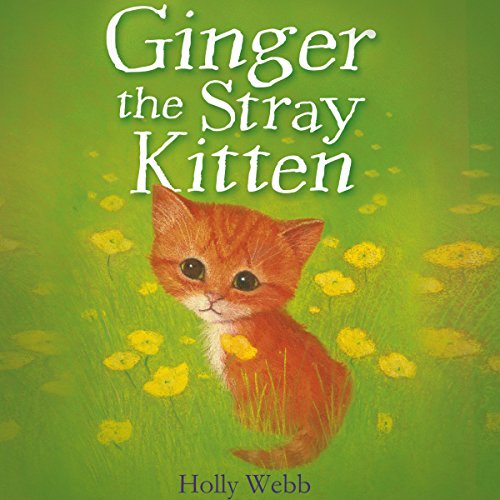 Ginger the Stray Kitten