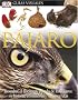 Pajaro (DK Eyewitness Books)