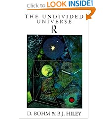 The Undivided Universe