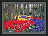 12x16 / 12 x 16 Picture Frame 1.25 Satin Black Bull Nose .. 1.25'' wide