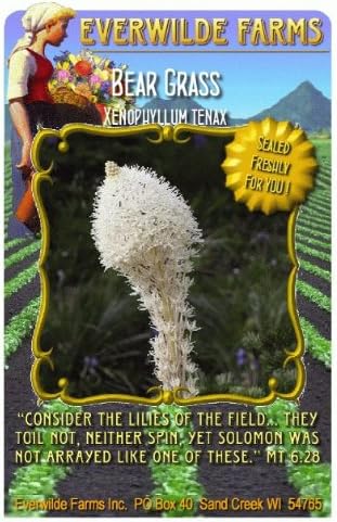 Everwilde Farms - Bear Grass Native Wildflower Seeds - Jumbo Seed Packet (100)