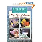 Reef Fishes Corals and Invertebrates of the Caribbean : A Diver's Guide by Elizabeth Wood and Lawson Wood