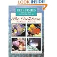 Reef Fishes Corals and Invertebrates of the Caribbean : A Diver's Guide by Elizabeth Wood and Lawson Wood