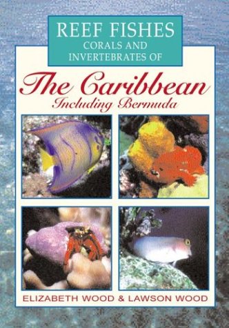 Invertebrates