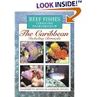 Reef Fishes Corals and Invertebrates of the Caribbean : A Diver's Guide by Elizabeth Wood and Lawson Wood
