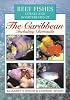 Reef Fishes Corals and Invertebrates of the Caribbean : A Diver's Guide