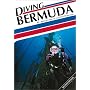 Diving Bermuda, Second Edition (Aqua Quest Diving Series)