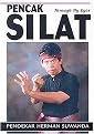 Pencak Silat (Through My Eyes) (Paperback)
