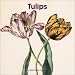 Book The Tulips Wall Calendar