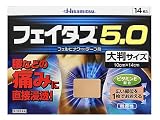 【第2類医薬品】フェイタス5.0大判サイズ 14枚