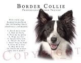 Border Collie Human Trainer Mouse Pad Dog Mousepad