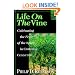 Life on the Vine: Cultivating the Fruit of the Spirit in Christian Community