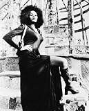 PAM GRIER 24X36 B&W POSTER PRINT