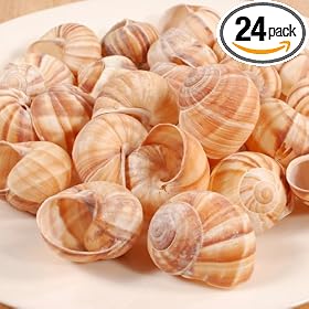 Extra Large Empty Escargot - 24 pieces