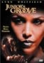 Junior's Groove