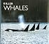 Killer Whales (Worldlife Library)