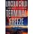 Terminal Freeze