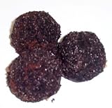 Gourmet Food : Scott's Cakes Chocolate Mocha Balls 1 lb. Box