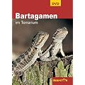 Bartagamen im Terrarium, 1 DVD