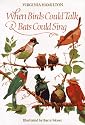 When Birds Could Talk And Bats Could Sing