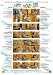 Plakat birth-move-ment: Geburtserleichternde Bewegungen und... at Amazon: 51SRQHwMqaL._SL75_