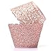 Baloray Filigree Little Vine Lace Laser Cut Cupcake Wrapper Liner Baking Cup Muffin Case Trays Wedding Birthday Party Decoration (Pink, 12)