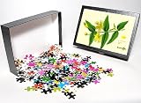Photo Jigsaw Puzzle of St Johnandamp;apos;s Wort from Science Photo Library