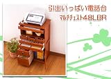 ���t�`�F�X�g48��
