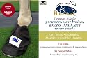 The Hoof Sock By Penn Equine Gear