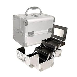 Amazon.com: Seya Silver Mini Train Case With Mirror: Beauty