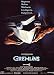 Gremlins [FR Import]
