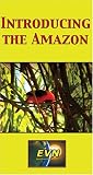 Review   / Introducing the Amazon