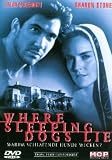Where Sleeping Dogs Lie - Dylan McDermott