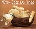 Why Cats Do That 2007 Calendar: A 12-Month Collection of Curious Kitty Quirks