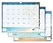 Blue Sky 2015-2016 Academic Year Wall Calendar, Endless Summer Collection, Wire-O Bound, 15 x 12 Inches (17085)