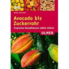 Avocado bis Zuckerrohr: Tropische Nutzpflanzen selbst ziehen
