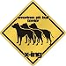 New  American Pit Bull Terrier X-Ing / Xing Iii  Crossing Dog