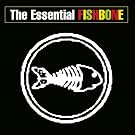 The Essential Fishbone