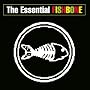 The Essential Fishbone